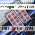 Kamagra 1 Week Pack 19